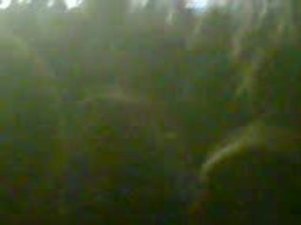 Psy4 Morfle - Concert au dome de marseille