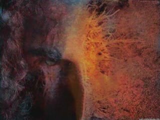 Dédicace à Noir-Desir