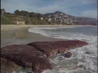 Day Trader Stocks, The Day Trader, Day Trader