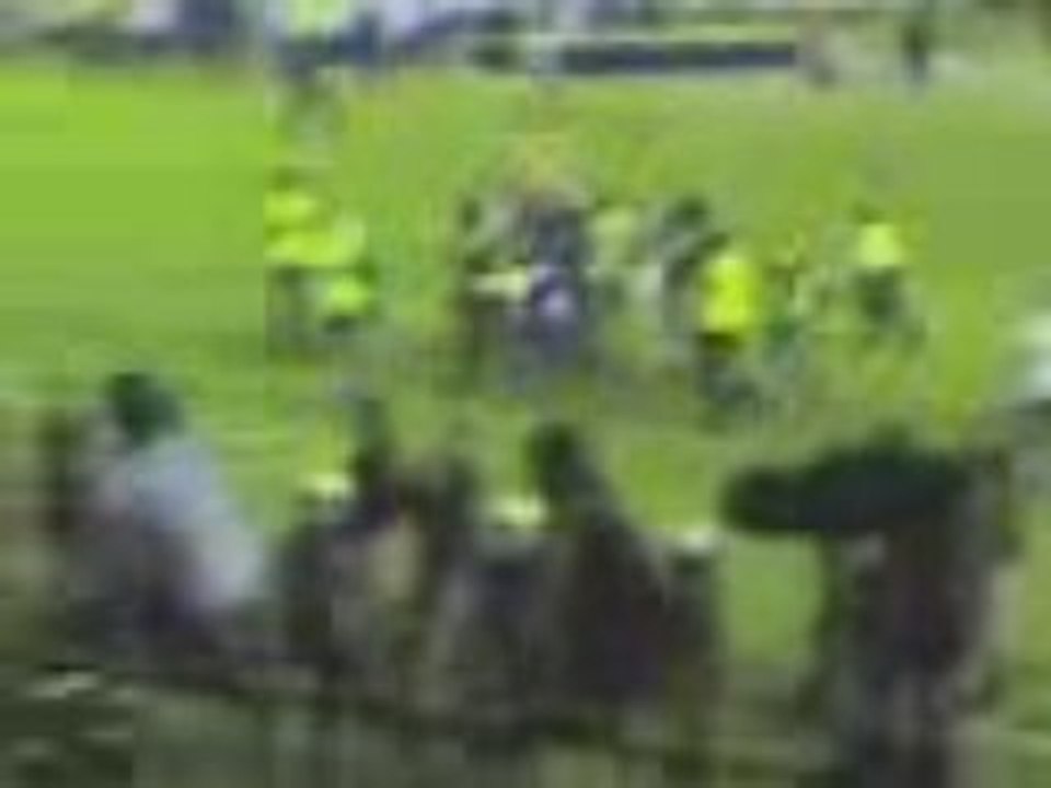 A webo somos campeones