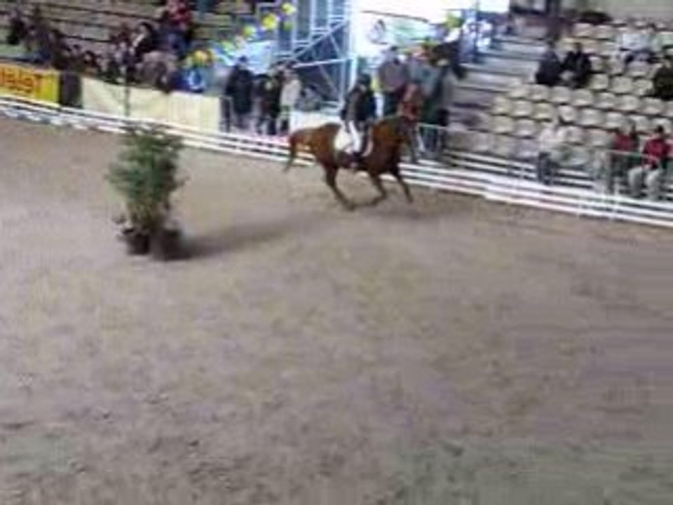 CSO Pitray Qlochette