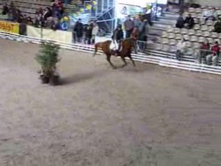 CSO Pitray Qlochette