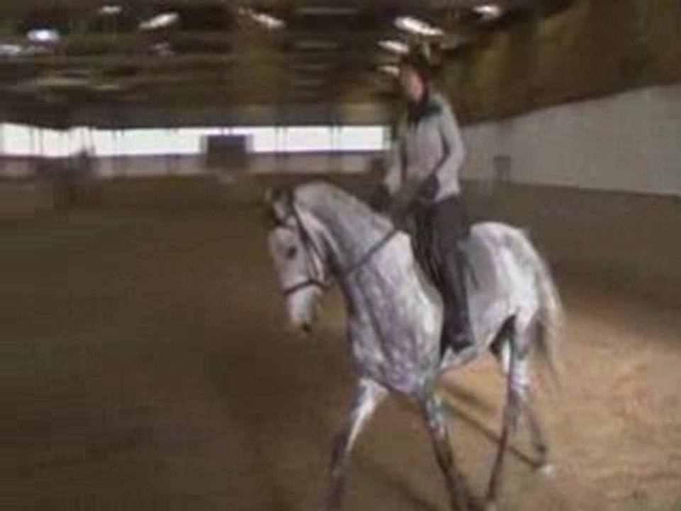 California WZ v. Carthago 3-jährig