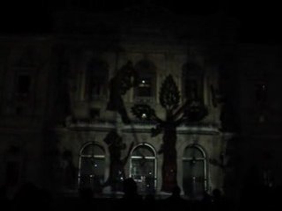 fête de la lumière LYON 2008