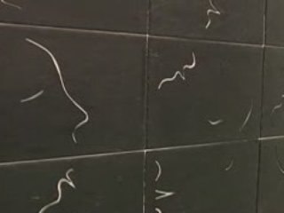 Exposition Daniel Tremblay