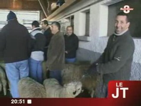 Zoom sur la fête de l'Aïd el-Kébir chez les Musulmans