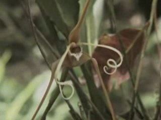 Ecoturismo en Mindo, Ecuador