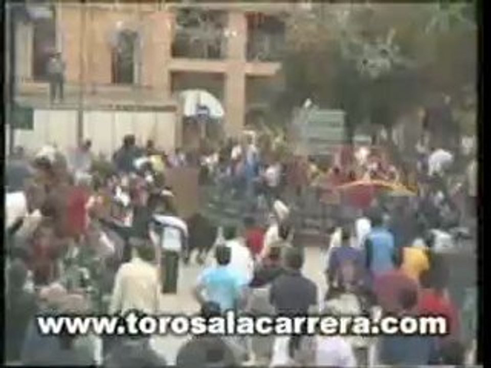 Encierros en Las Rozas 2002