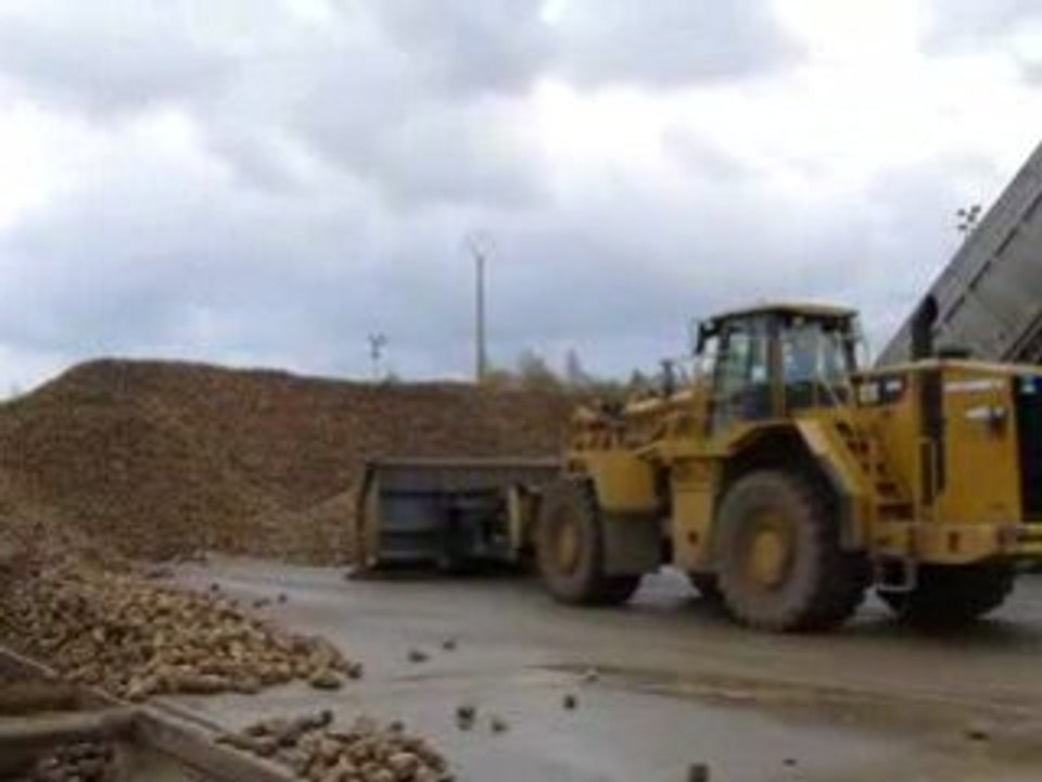 Saison des betteraves 2008.