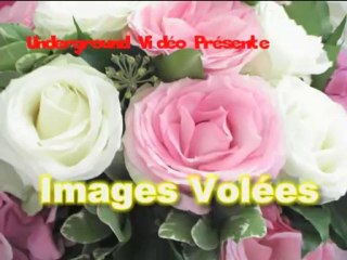Images volées