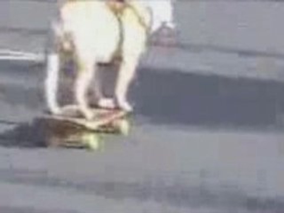 The Skateboarding Dog