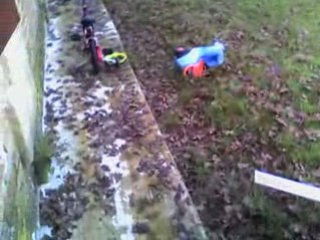 Video amateur bois chevreuille jardin