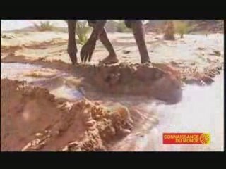 CONNAISSANCE du MONDE "Mauritanie" de Claude Pavard