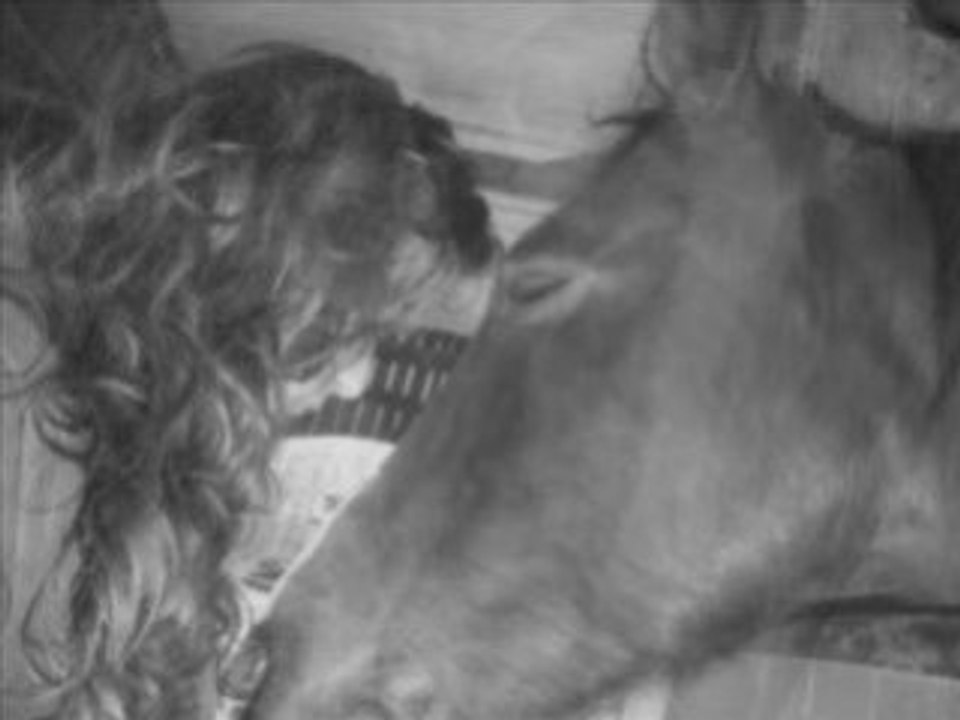 7 Decembre 2008