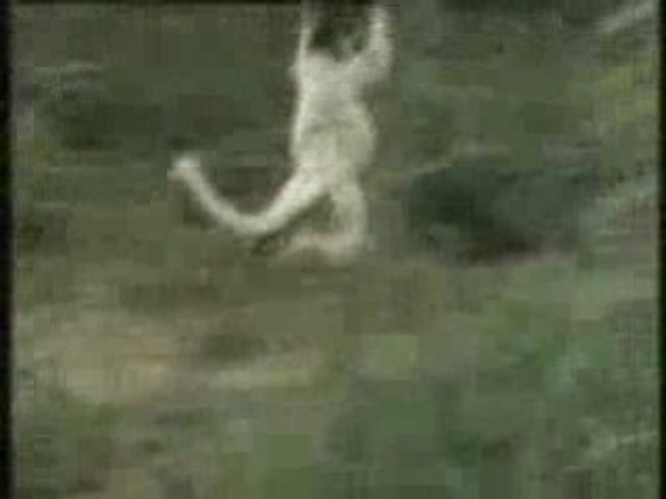 Humour Togolais Onazo