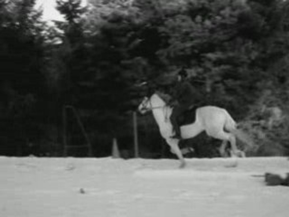 Galop dans la neige