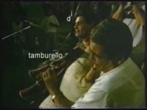 tarantella calabrese zampogna tamburello ballo viddaneddha