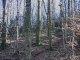Miniature DailyMotion