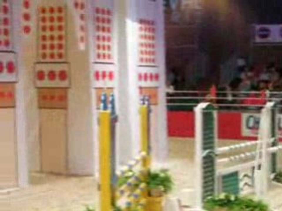 Quelem & Sarah - Salon du Cheval de Paris 2008 - 2ème manche