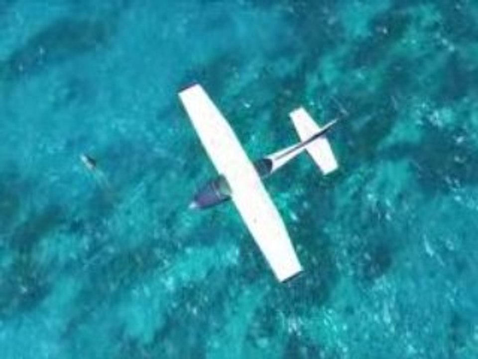 REX Wave   Coral Simulation on Vimeo