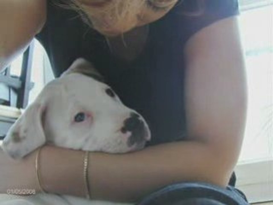 Meandmydog