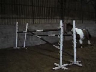 Obiwan saut en liberté