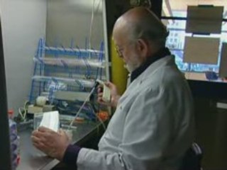 Mâles en périle 2x3