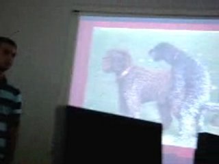 Exposé en communication iut le puy en velay Guillaume Robin