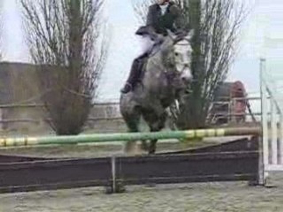 Concours Fay les Etangs - 07.12.08 - Club 3 - 2ème partie