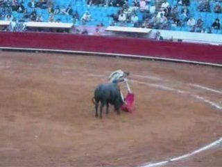 Indulto Pa'Enero, ganaderia de Xajay, 07-12-2008