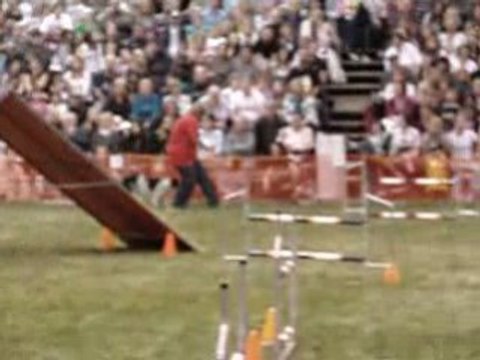 SNAC 2008 Tamy Steeplechase 1