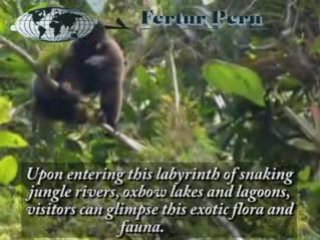 Travel and Vacation - Manu - Fertur Peru