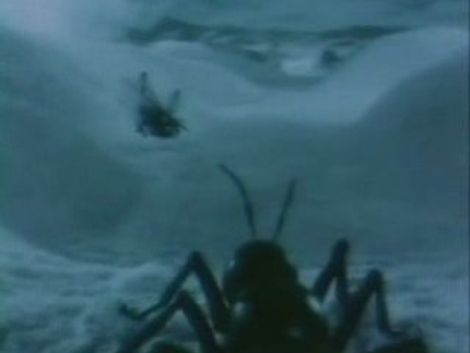 Publicité pour la Polo Volkswagen, la Fourni