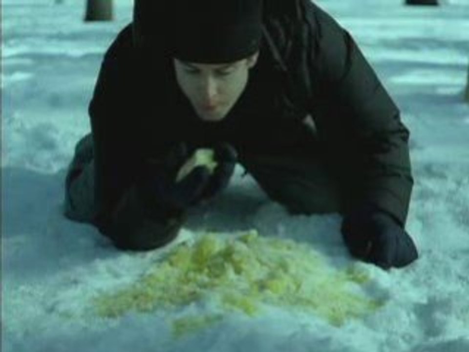 DONT EAT THE SNOW