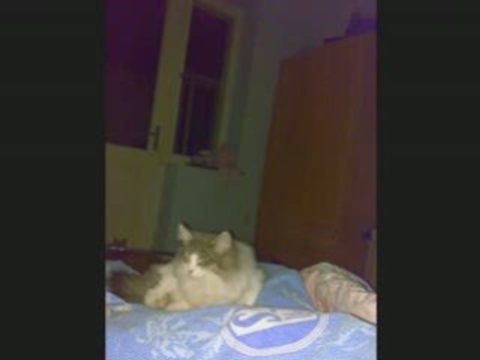 Er war zu jung zum sterben