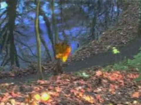 Ziyo - Poste Restante