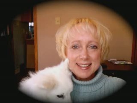 Generate An Avalanche of MLM Leads Daily-Free Training