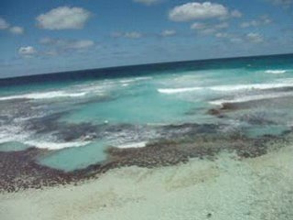 Première vue de la mer à Rottnest.. epoustouflant