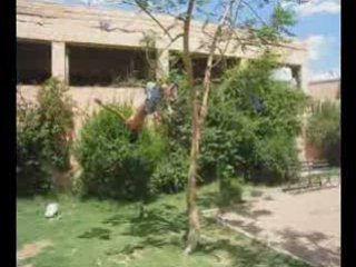 Parkour marrakech