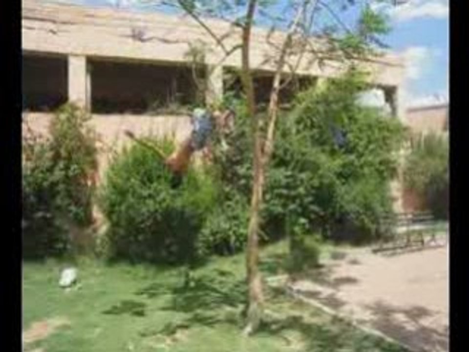 Parkour marrakech