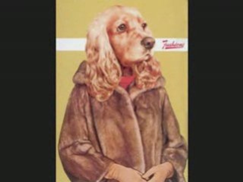 brigade canine vs anne lauvergeon pour un mandat d arret