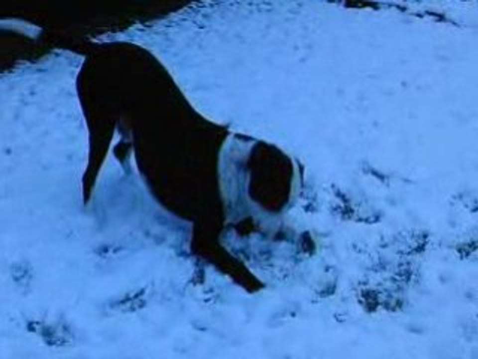Rock et la neige