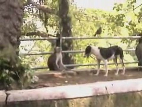 Elephanta Island MUMBAI INDIA sept 2008