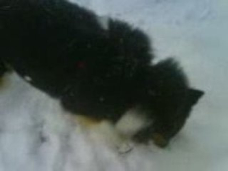 Cheyenn_a_la_neige008