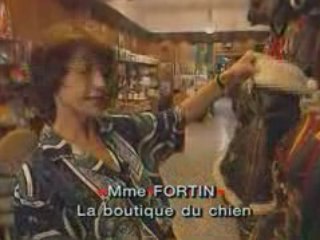 Chiens de stars à Cannes