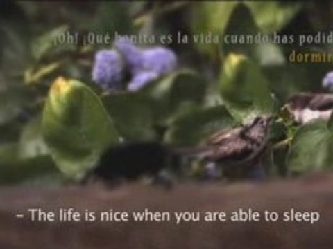 El escarabajo insomne, de Jose Luis Santos