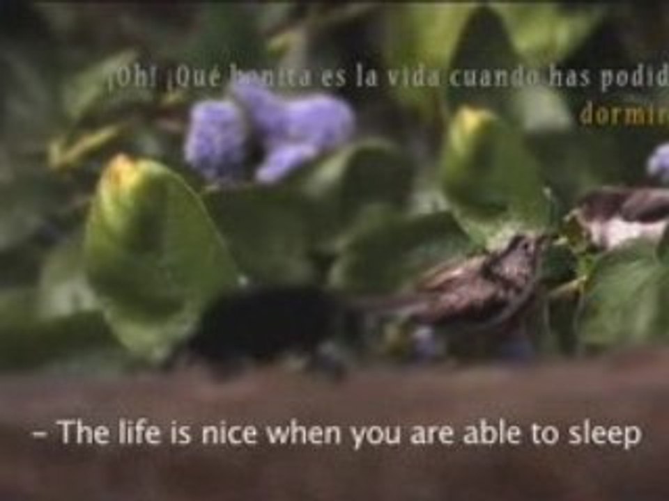 El escarabajo insomne, de Jose Luis Santos