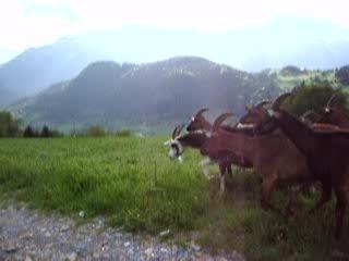 rencontres du troisieme type