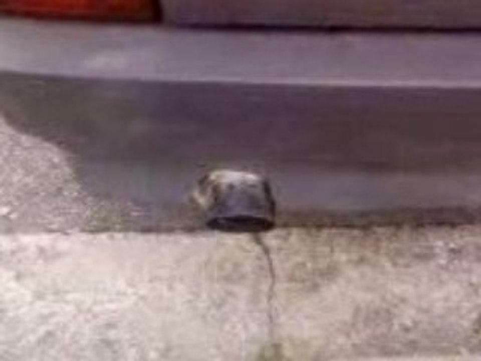 Rupture fiat uno (Moteur d'origine)