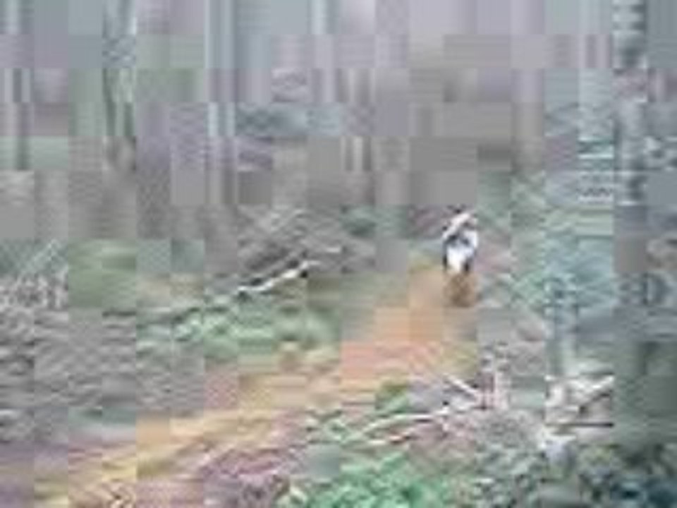 Enduro